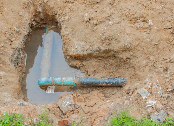 How Delays in Water Damage Repair Increase Costs