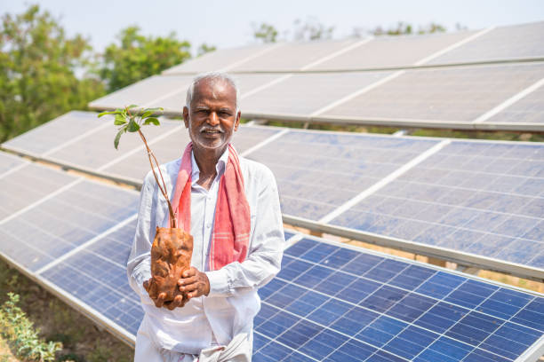Affordable Solar Companies Sacramento with Expert Support